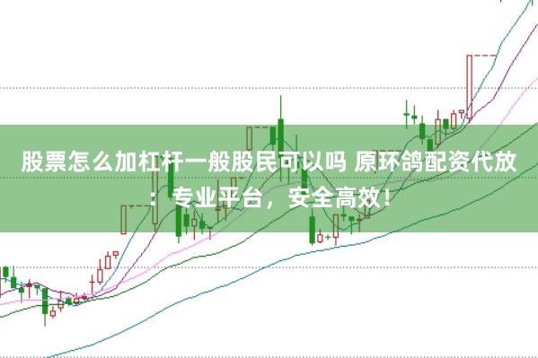 股票怎么加杠杆一般股民可以吗 原环鸽配资代放：专业平台，安全高效！