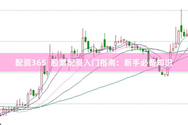 配资365  股票配资入门指南：新手必备知识