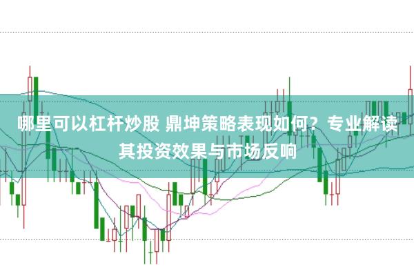 哪里可以杠杆炒股 鼎坤策略表现如何？专业解读其投资效果与市场反响