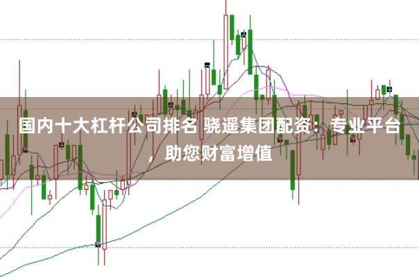 国内十大杠杆公司排名 骁遥集团配资：专业平台，助您财富增值